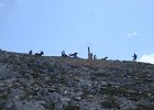 IMG 2716